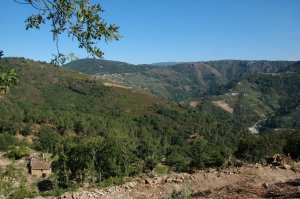 986fd-copiadedsc_0019