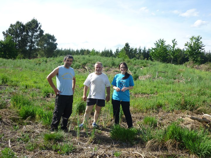 Mámoa do Monte dos Cousos&nbsp;(Doade)