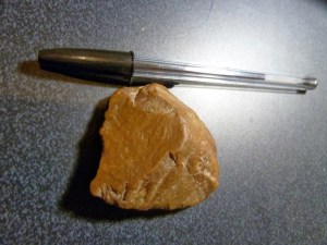 1de56-lascacaradorsal